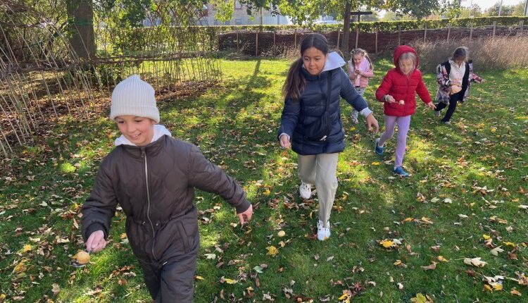 Høstfest, Frivilligcenter og Selvhjælp Herlev, Herlevs Have, kartoffelløb